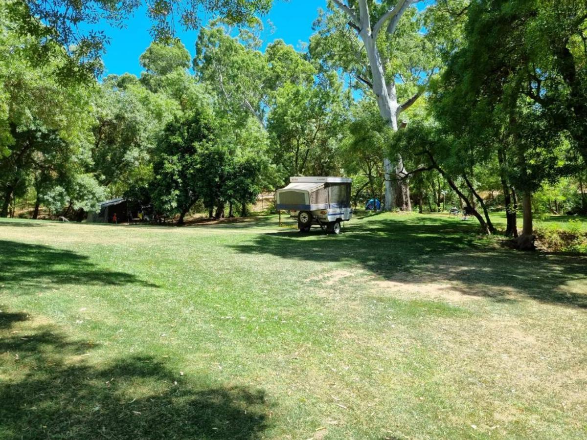 Belair National Park Holiday Park Экстерьер фото