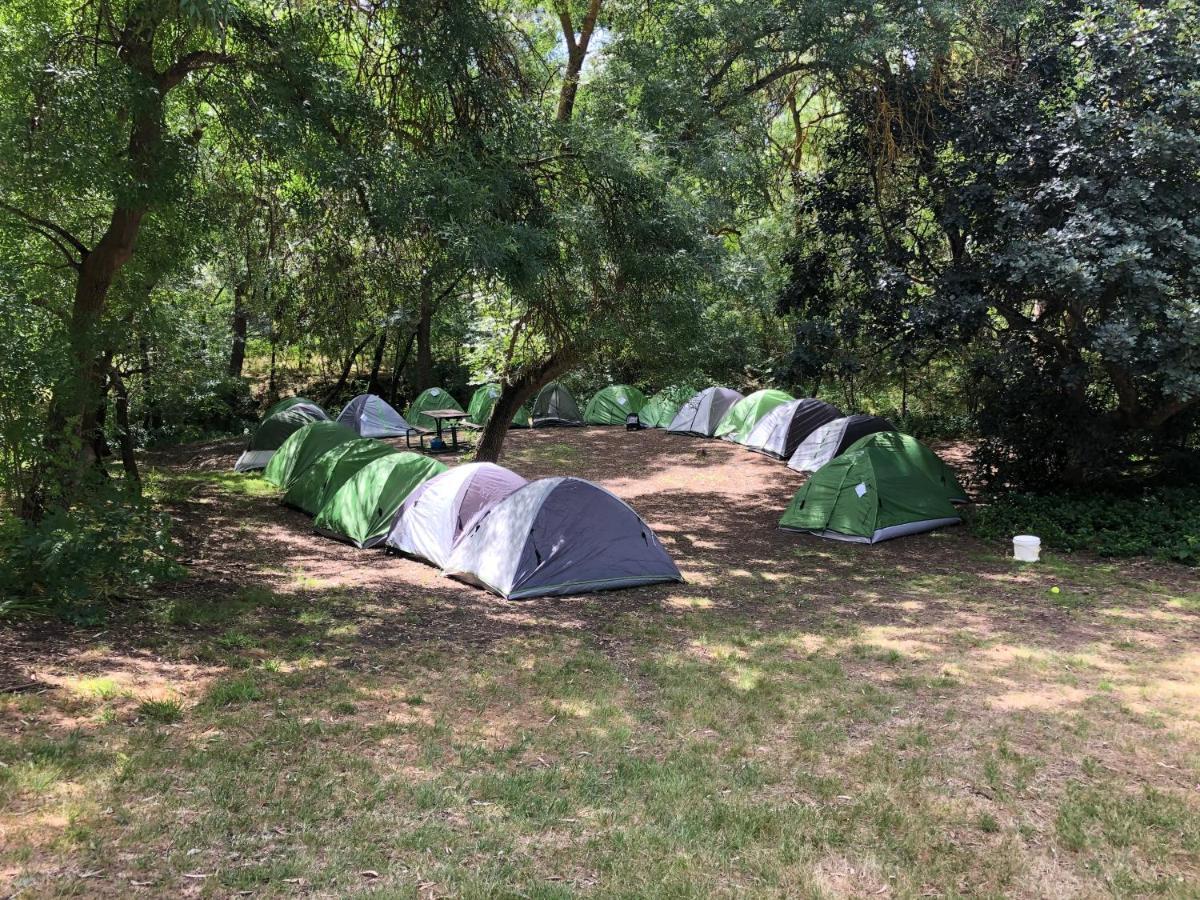 Belair National Park Holiday Park Экстерьер фото